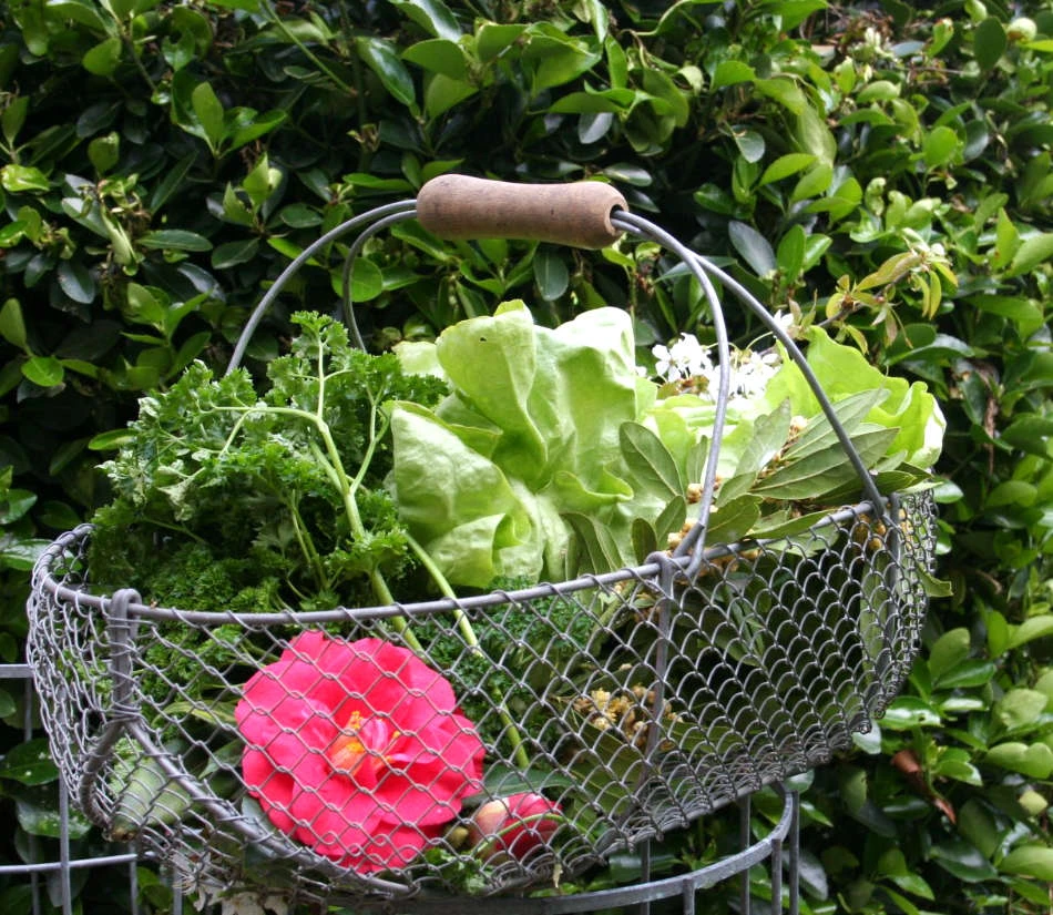 Je cultive moi-même mes légumes